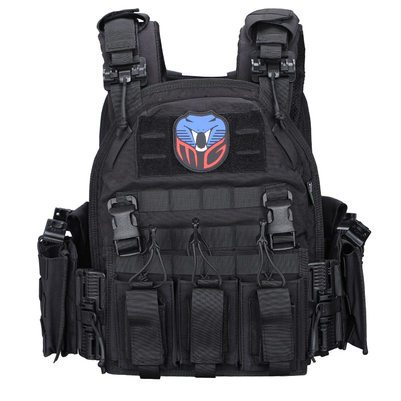 plate carrier with quick release