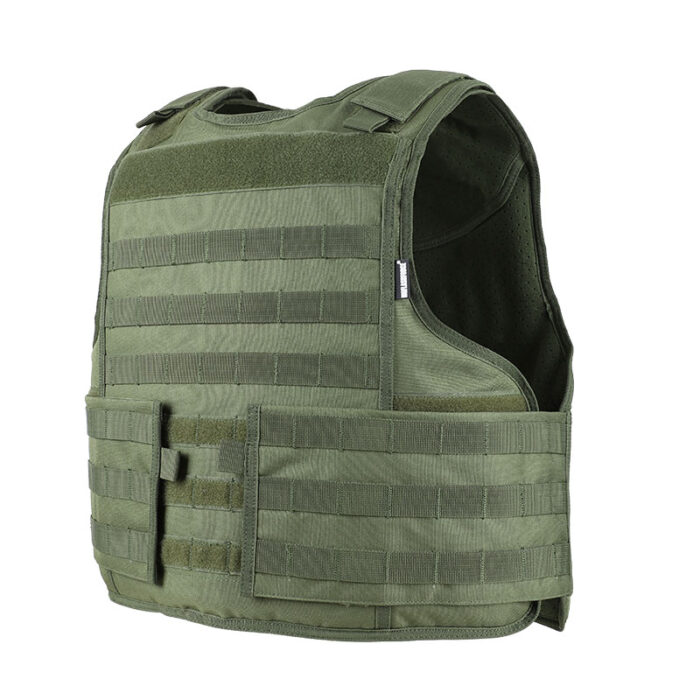 plate carrier minimalist