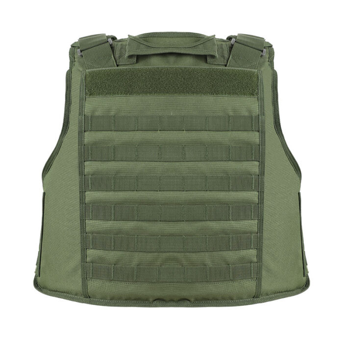 plate carrier minimalist back